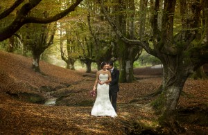 Fotografia natural bilbao 6 - Fotógrafos para Bodas Bilbao